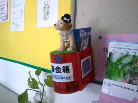 関西盲導犬協会への募金箱
